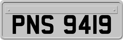 PNS9419