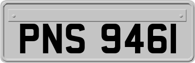 PNS9461