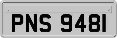 PNS9481