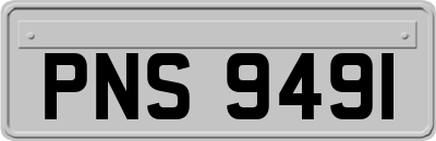 PNS9491