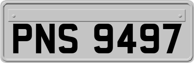 PNS9497