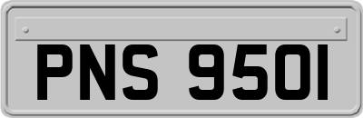 PNS9501