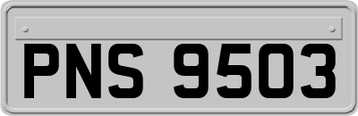 PNS9503