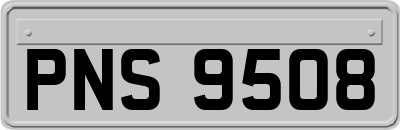 PNS9508