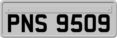 PNS9509