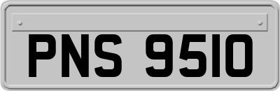 PNS9510