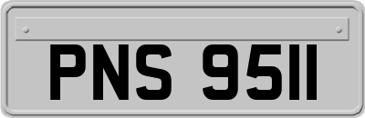 PNS9511