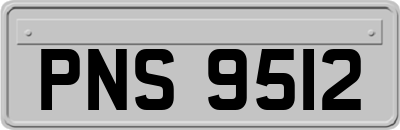 PNS9512