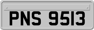 PNS9513