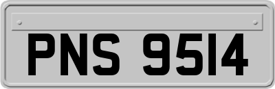 PNS9514