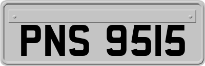 PNS9515