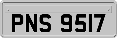 PNS9517