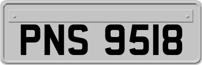 PNS9518