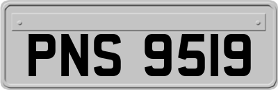 PNS9519