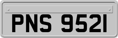 PNS9521