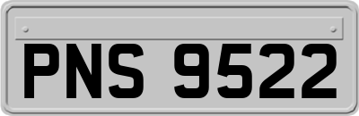 PNS9522