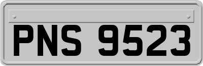 PNS9523