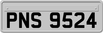 PNS9524
