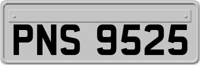 PNS9525