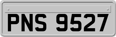 PNS9527