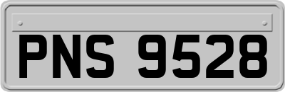 PNS9528