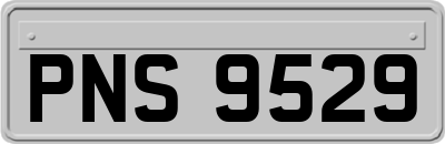 PNS9529