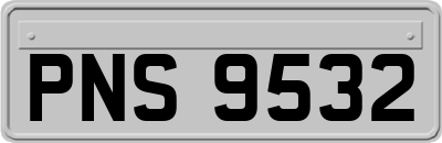 PNS9532