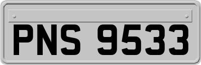 PNS9533