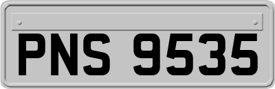 PNS9535