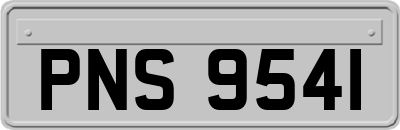 PNS9541