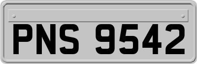 PNS9542