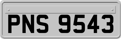 PNS9543