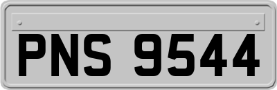 PNS9544