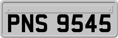 PNS9545