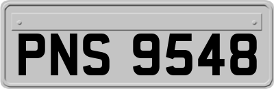 PNS9548