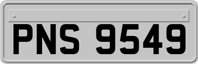 PNS9549