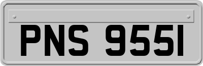 PNS9551