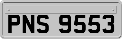 PNS9553