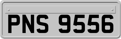 PNS9556