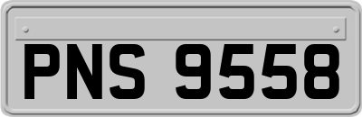 PNS9558