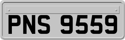 PNS9559