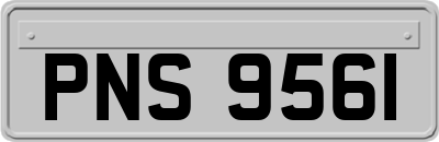PNS9561