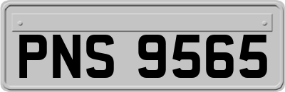 PNS9565
