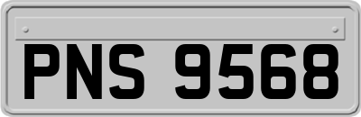 PNS9568