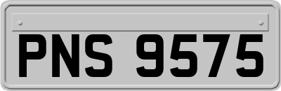 PNS9575