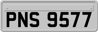 PNS9577