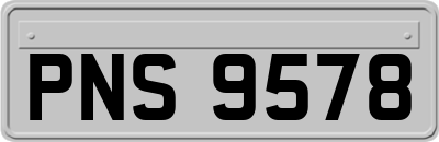 PNS9578