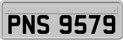 PNS9579