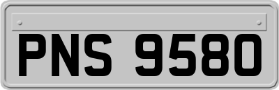 PNS9580