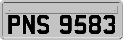 PNS9583